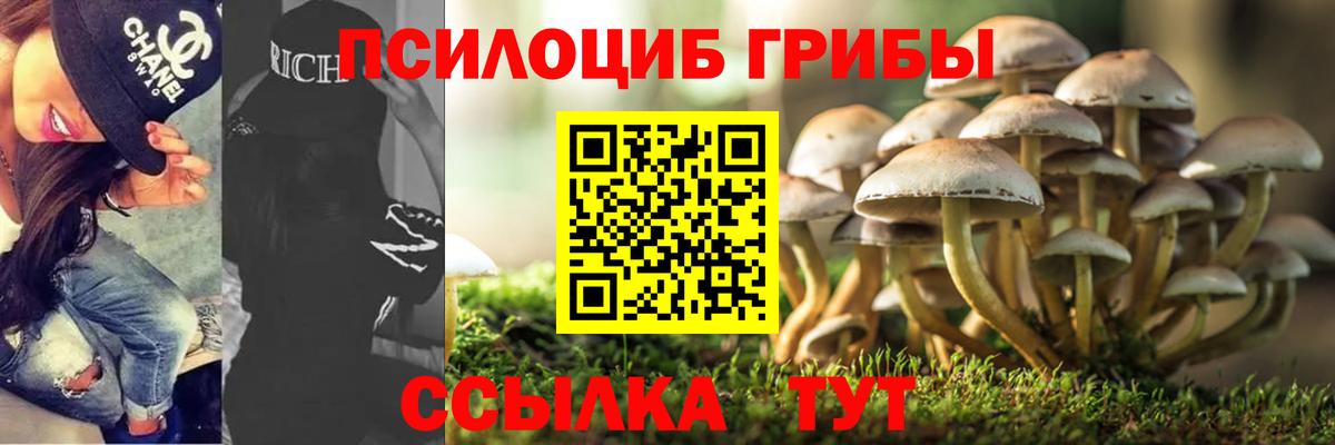 дарнет шоп  Вход с VPN  Горячий Ключ  Псилоцибиновые грибы мицелий 